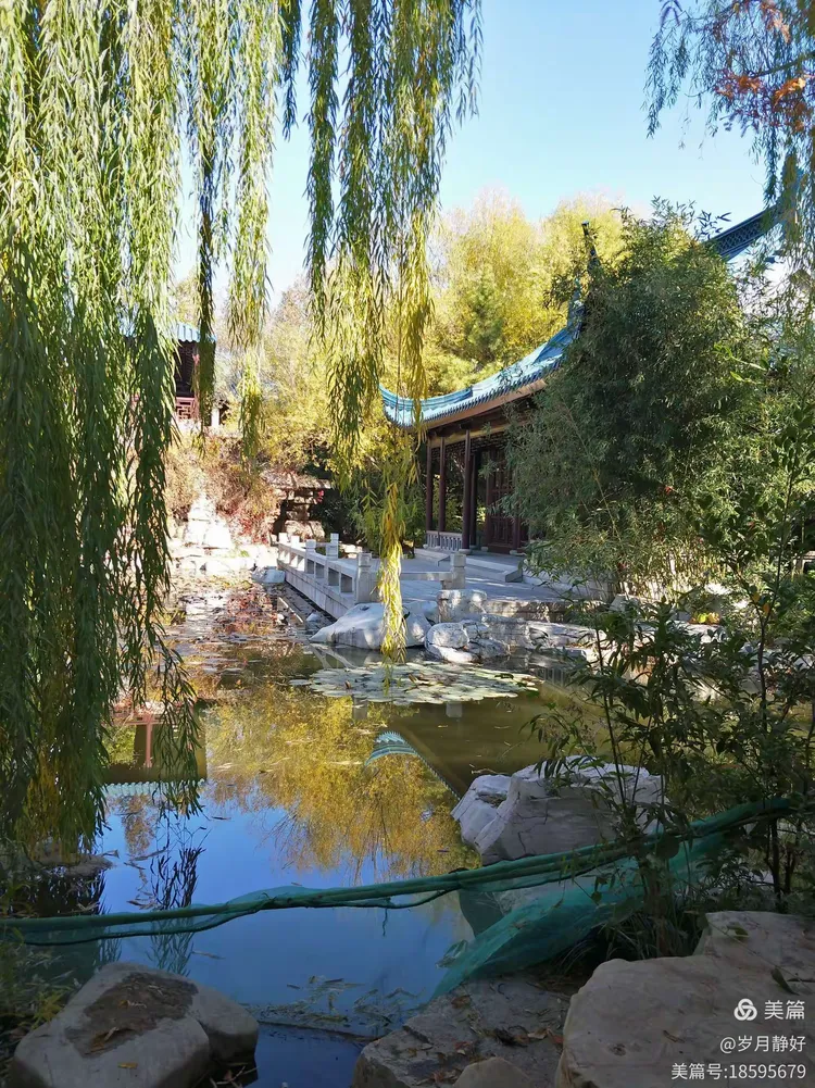 苏风秋韵看《东园》